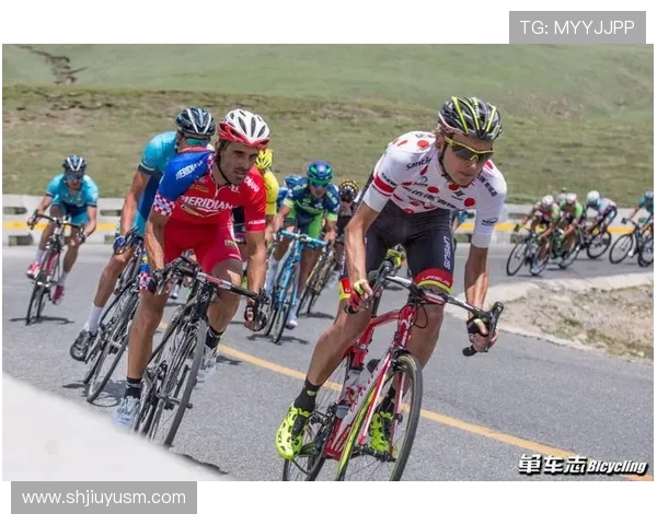 杭州网球队以86分稳居精英赛积分榜首位竞争愈发激烈