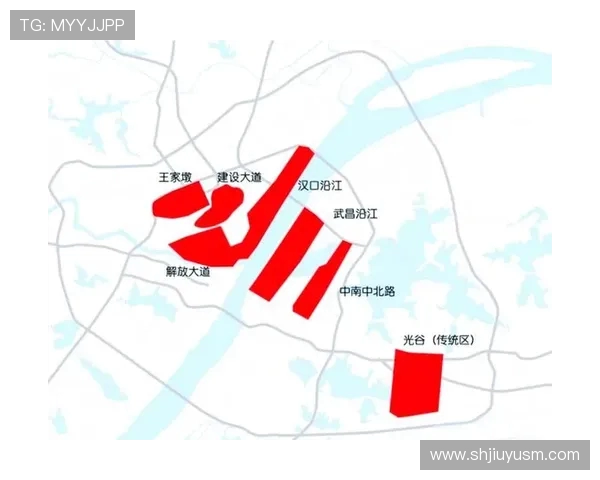 武汉排球队状态对比深度解析与未来发展趋势探讨